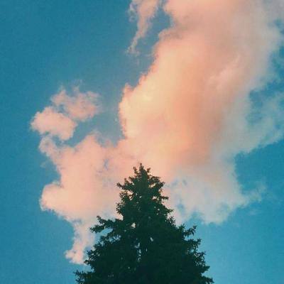 亚洲最早鸟臀类恐龙化石发现