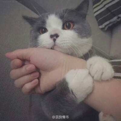 大学生种5个月胡萝卜细如虫草,老师一看懵了:这老鼠看了都摇头,网友:一只手握着一亩地的产量