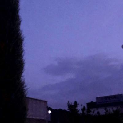 一个37岁单身女性的自白