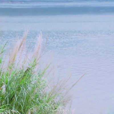 Test 01/07/2025 ZH