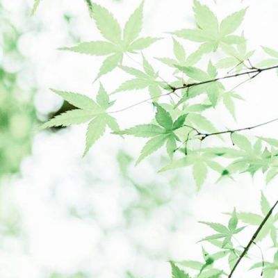 促进居民营养健康消费