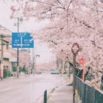 北京图书市集·春季场招募开启 | 新京报