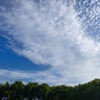爱丽舍宫国王饼招待会 - January 8, 2025