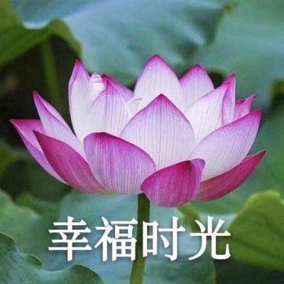 北京全市地区生产总值2024年预计增长5.2%左右
