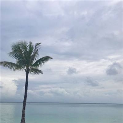 新闻人物丨斯里兰卡总统迪萨纳亚克