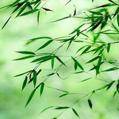 技术引变:一技傍身百业兴——兰州石化以创新创造加速培育新质生产力述评