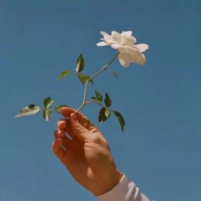 莫言说：没钱的人，羡慕有钱的人；有钱的人，羡慕没病的人；有病的人，羡慕有命的人