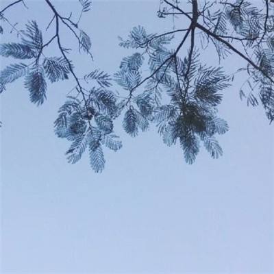 摄影师为女游客拍照时遭男子骚扰 言语挑衅引争议