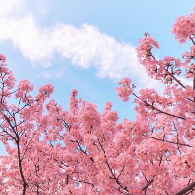 A股三大指数全部转涨 创业板指涨超1%