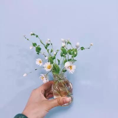 浙江淳安：云雾缭绕美景如画