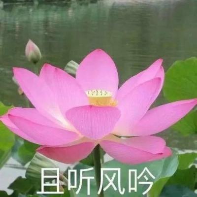 大摩上调评级,三大航股价涨超5%