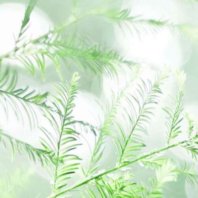日本强震后发生近10起余震 震中附近有多座核电站