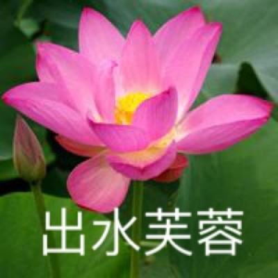 天津蓟州“最美天路”再获殊荣