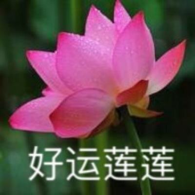 多名退伍军人参加定日县抗震救灾