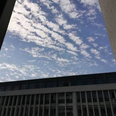 打好政策组合拳全方位提振消费