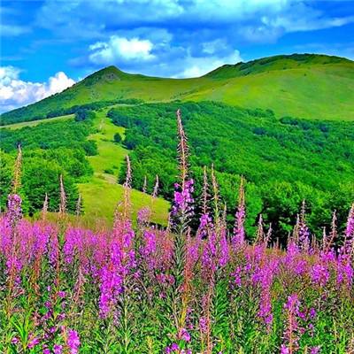 新春走基层︱“超级工程”里的新春坚守